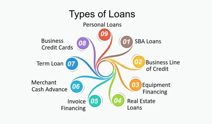 loan insights