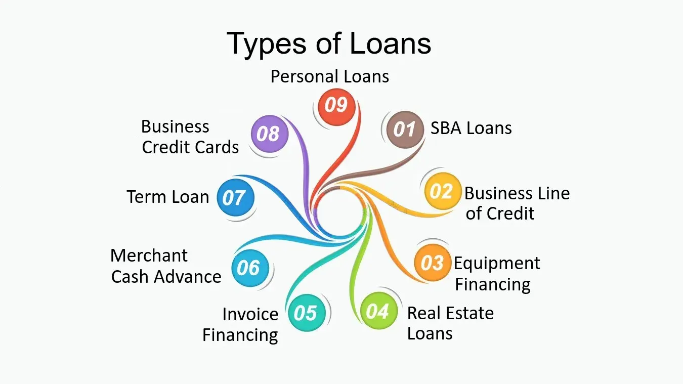 loan insights